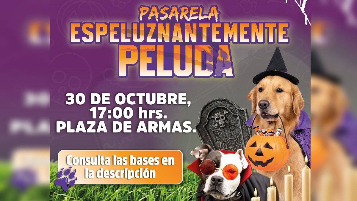 Atlixco convoca al primer concurso de disfraces para lomitos | Especial