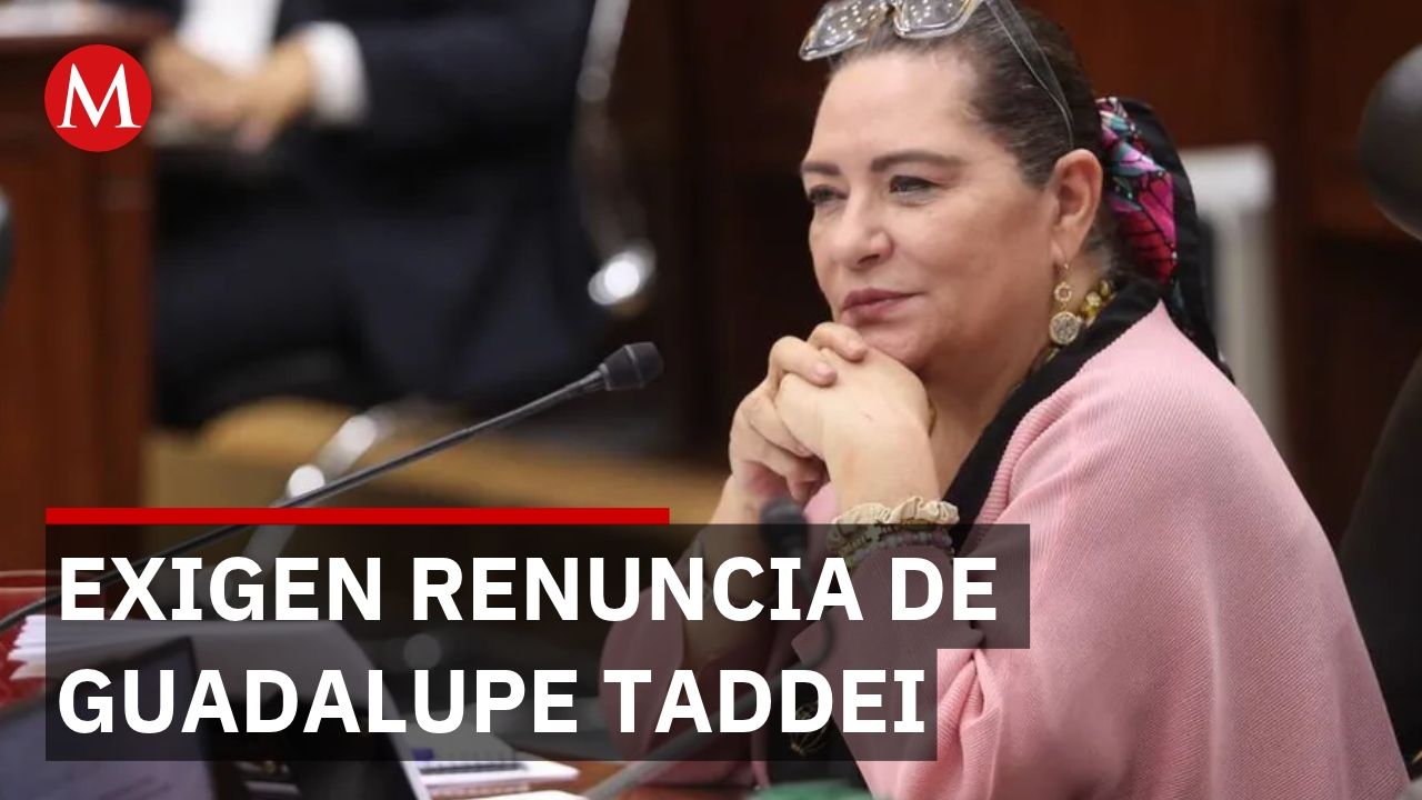 Partidos exigen separación de Guadalupe Taddei por conflicto de interés