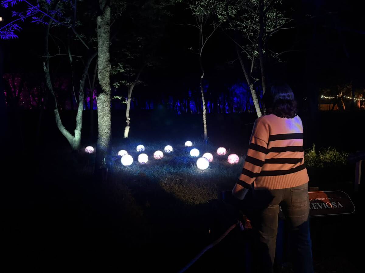 Avances asesinato Ximena y José