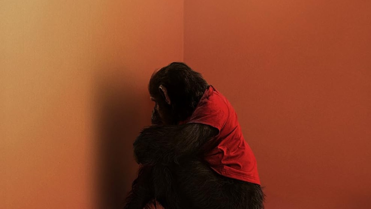 Final explicado de 'Primate', película en tendencia en Netflix: ¿quién sobrevive y qué pasa con Ben? | Especial