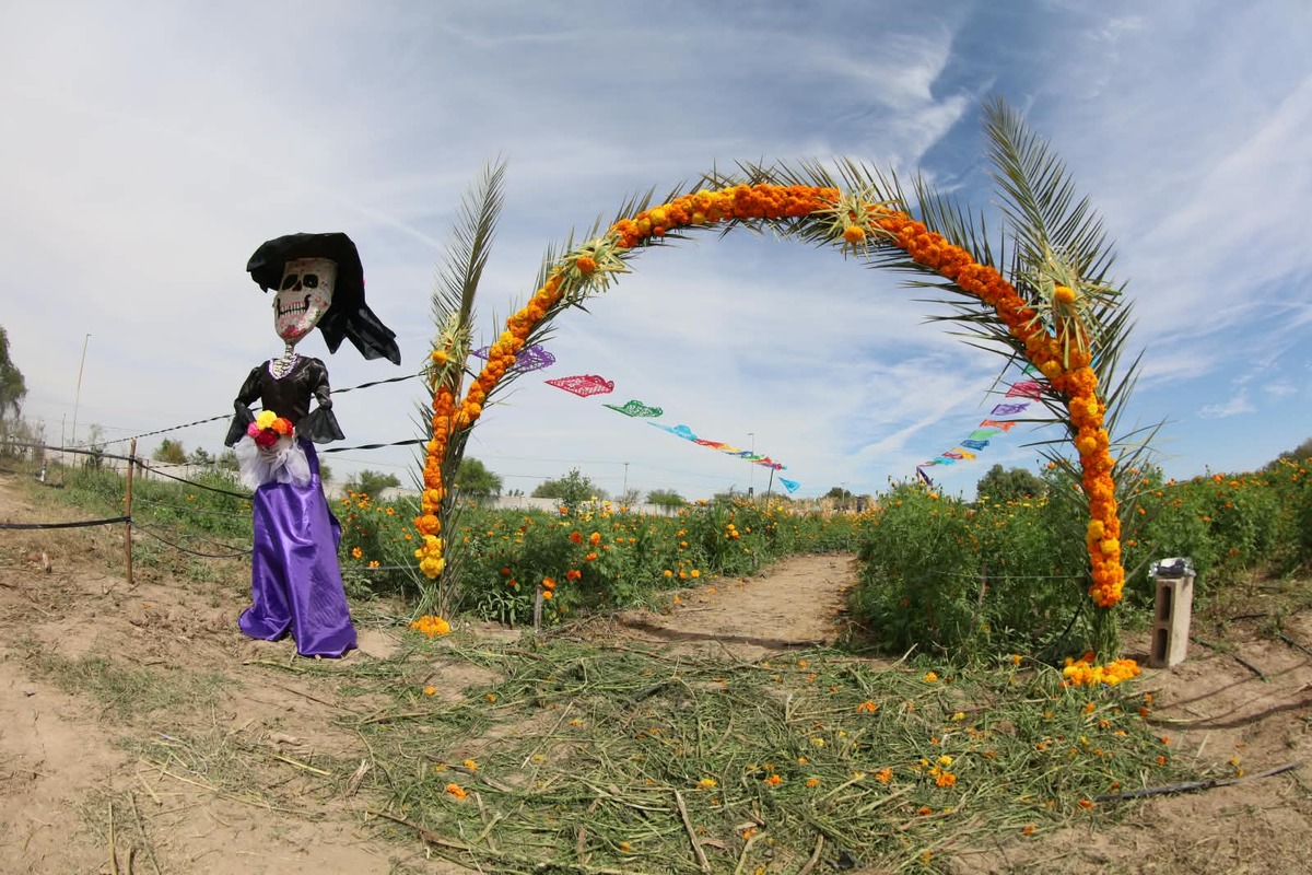 La milpa de la Narro se convierte en un espacio de aprendizaje sobre agricultura sustentable.  | Verónica Rivera