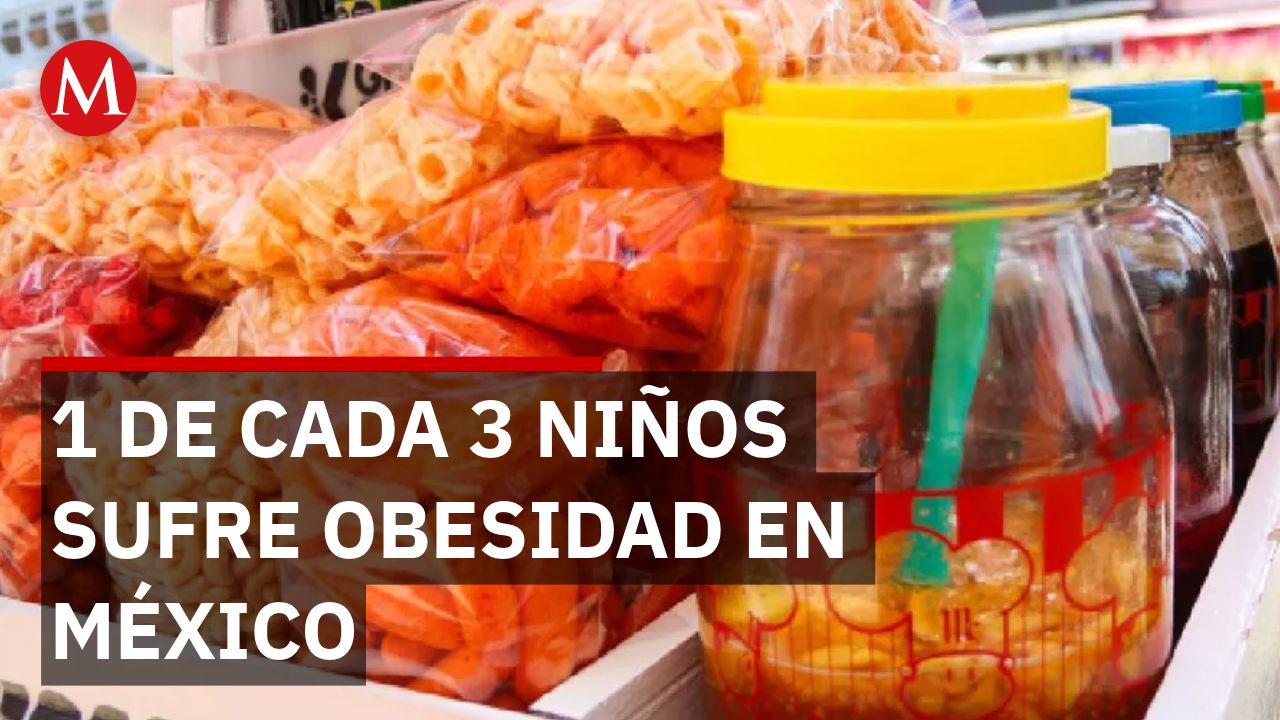 Prohibición de comida chatarra en escuelas: ¿Por qué la norma no frena la obesidad infantil?