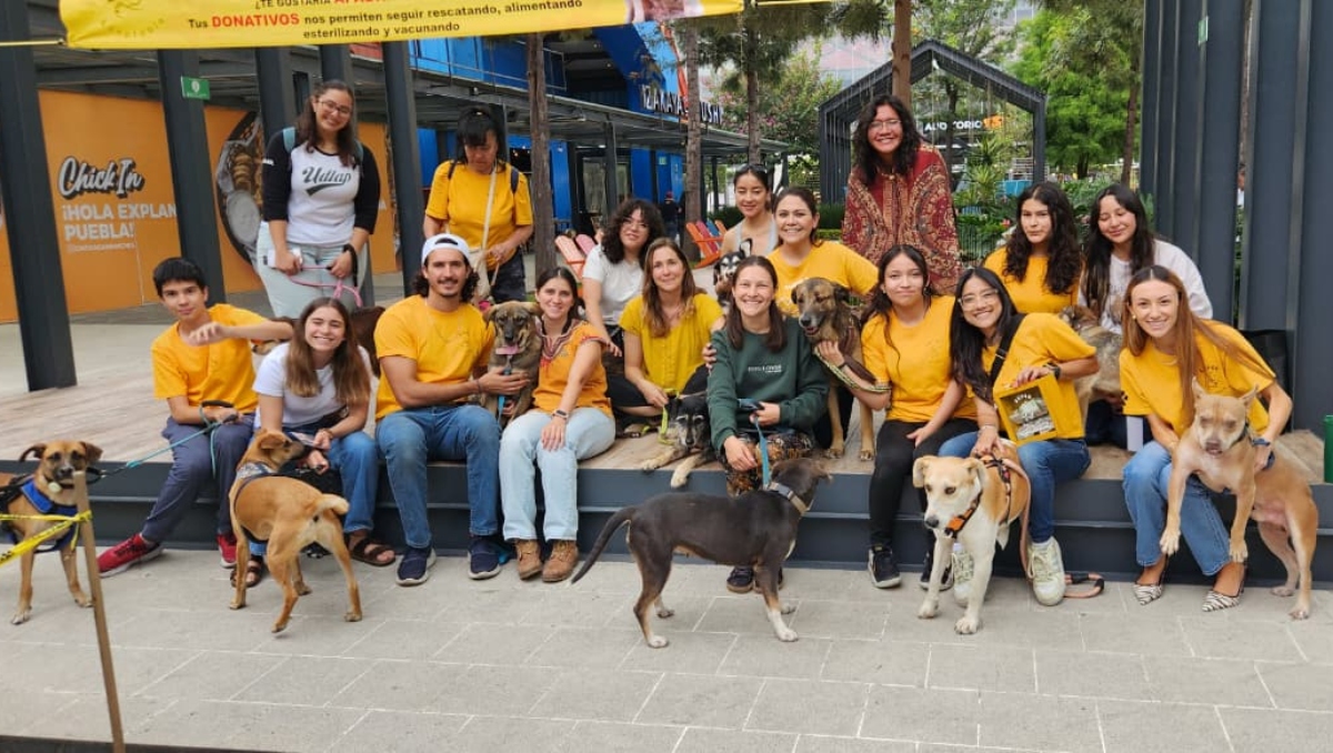 Súper Adoptable: 600 perritos encuentran un hogar en Puebla | Jesús Zavala