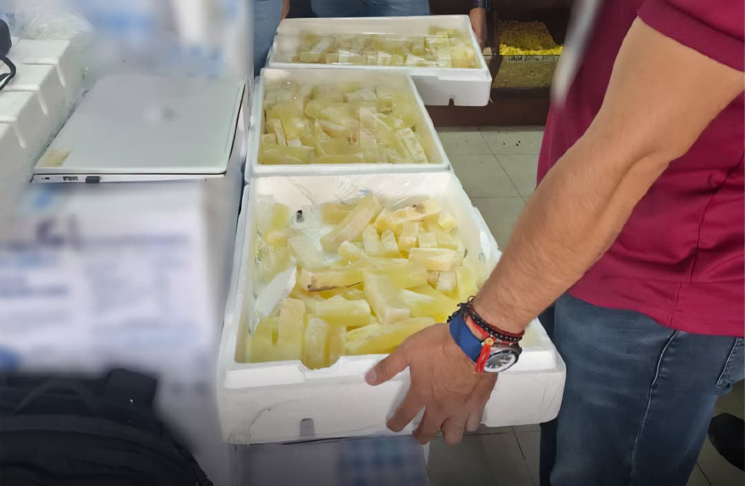 Aseguran 24 kilos de acitrón en mercados de Pachuca por comercio de especie protegida. (Guadalupe Trejo)