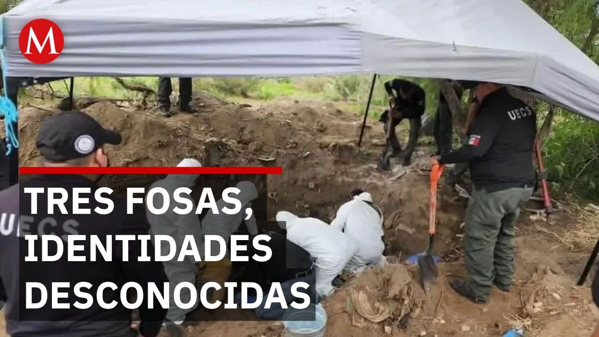 Hallan tres fosas clandestinas en Sonora; esperan análisis de ADN para identificar los restos