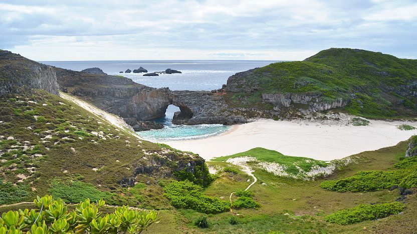 Islas Ogasawara al sur de Tokio. | Guide Japan