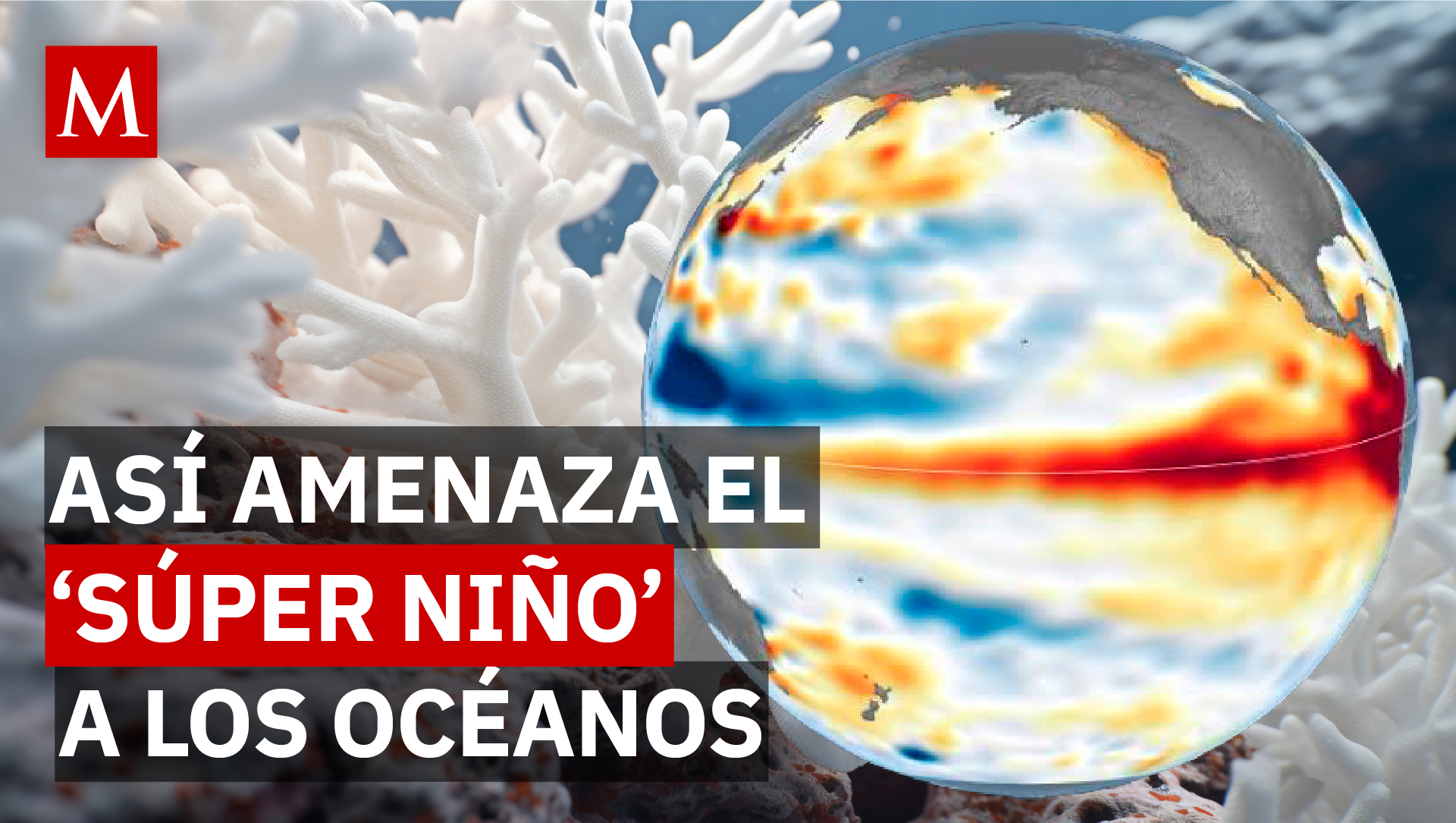 El ‘Súper Niño’ amenaza los arrecifes: qué pasa cuando los corales pierden su color