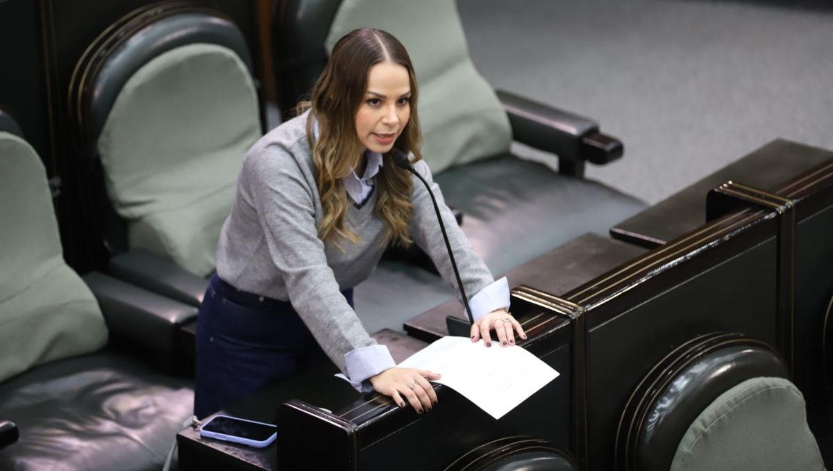 Aile Tamez, presidenta de la Comisión de Movilidad | Luis Guerra