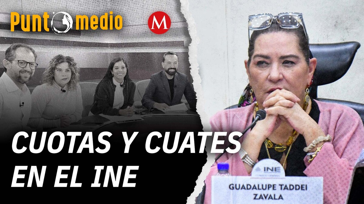 Renuncia Guadalupe Taddei al INE