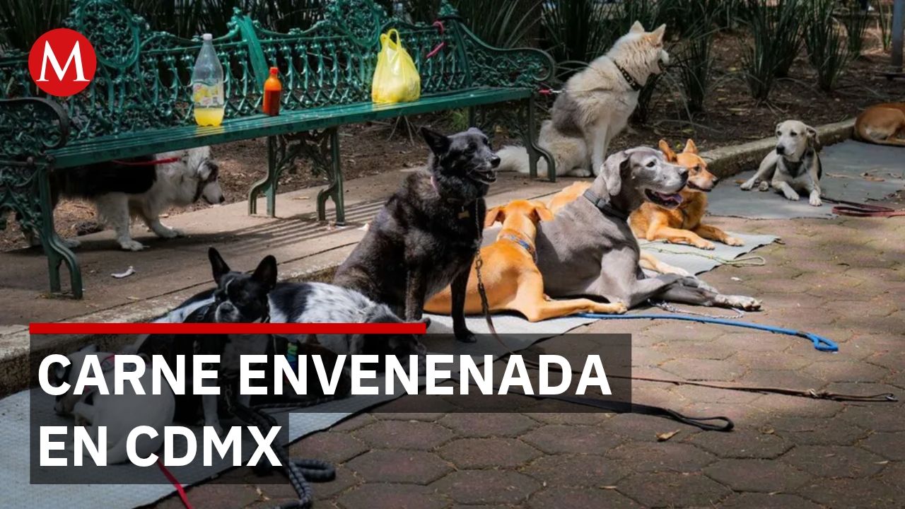 Hallan carne con pastillas de polvo blanco en Parque España