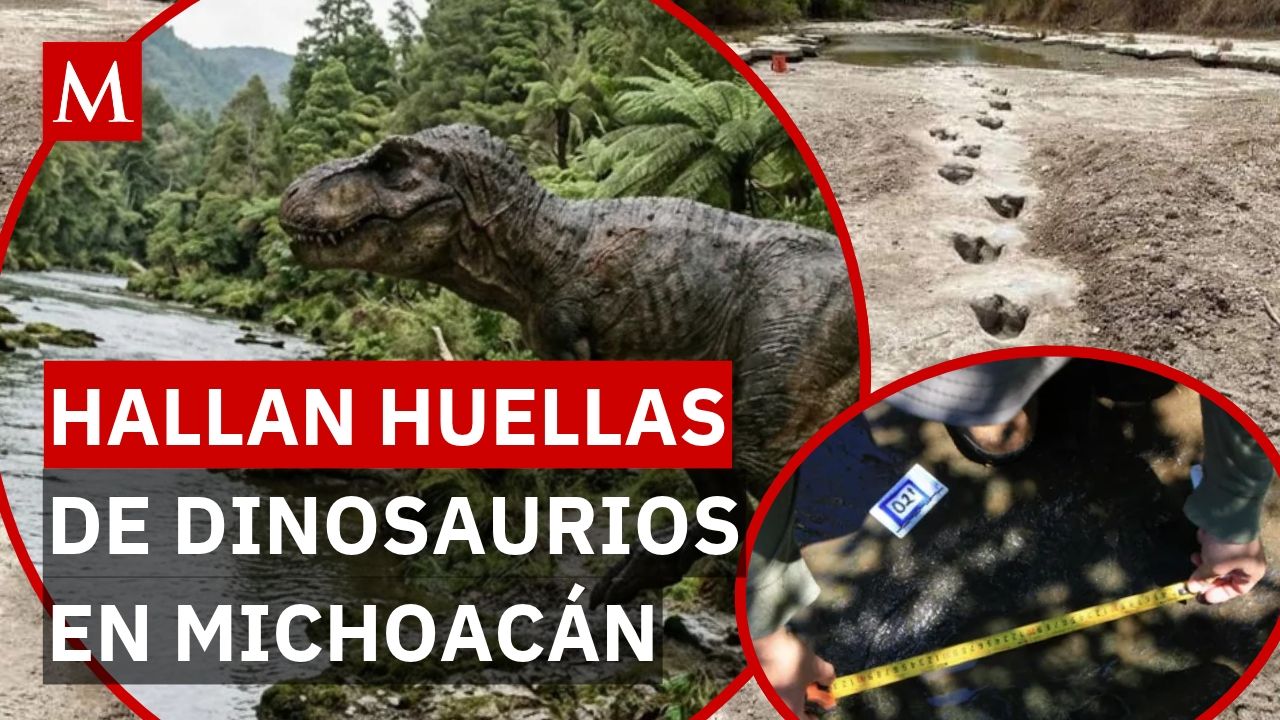 ¿Había tiranosaurios en Michoacán? Esto revelan las huellas descubiertas por el INAH
