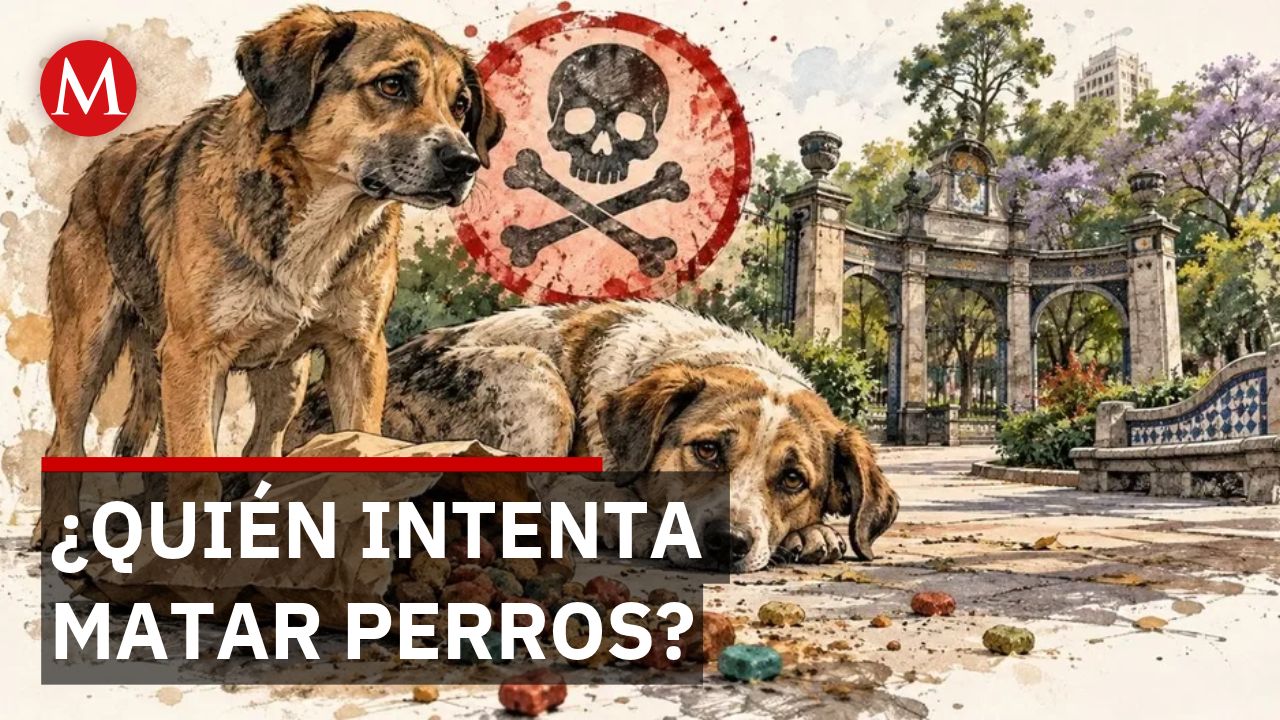 Fiscalía capitalina investiga envenenamiento de perros en parque de la Condesa