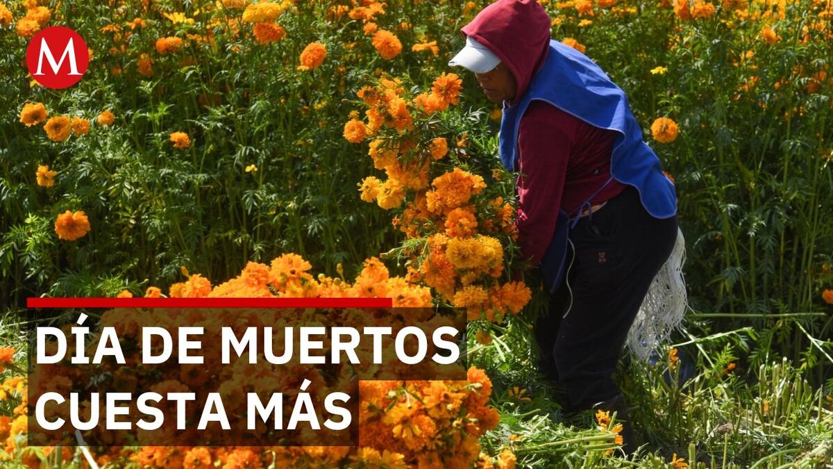 Pequeños comercios buscan aumentar sus ventas durante el Día de Muertos