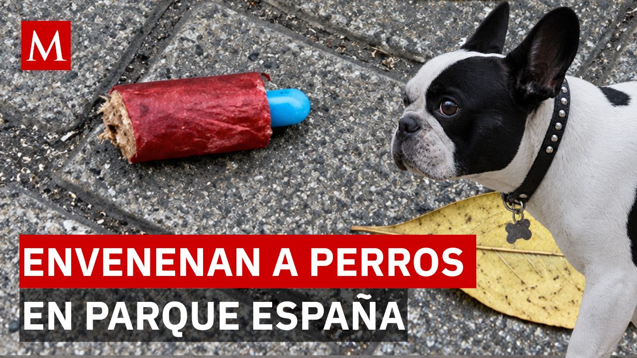 Salchichas sospechosas en Parque España: la alerta por el riesgo para las mascotas en CDMX