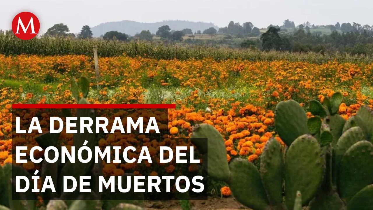 Federico Martínez proyecta derrama de 400 millones de pesos por cempasúchil
