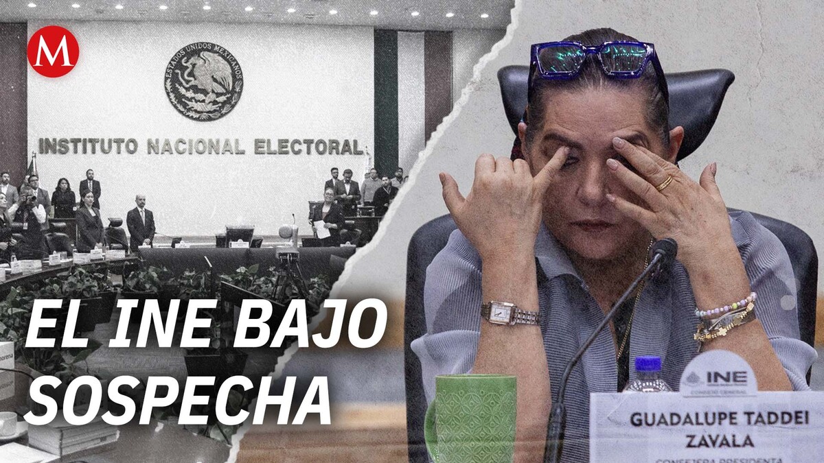 Renuncia de Guadalupe Taddei en el INE