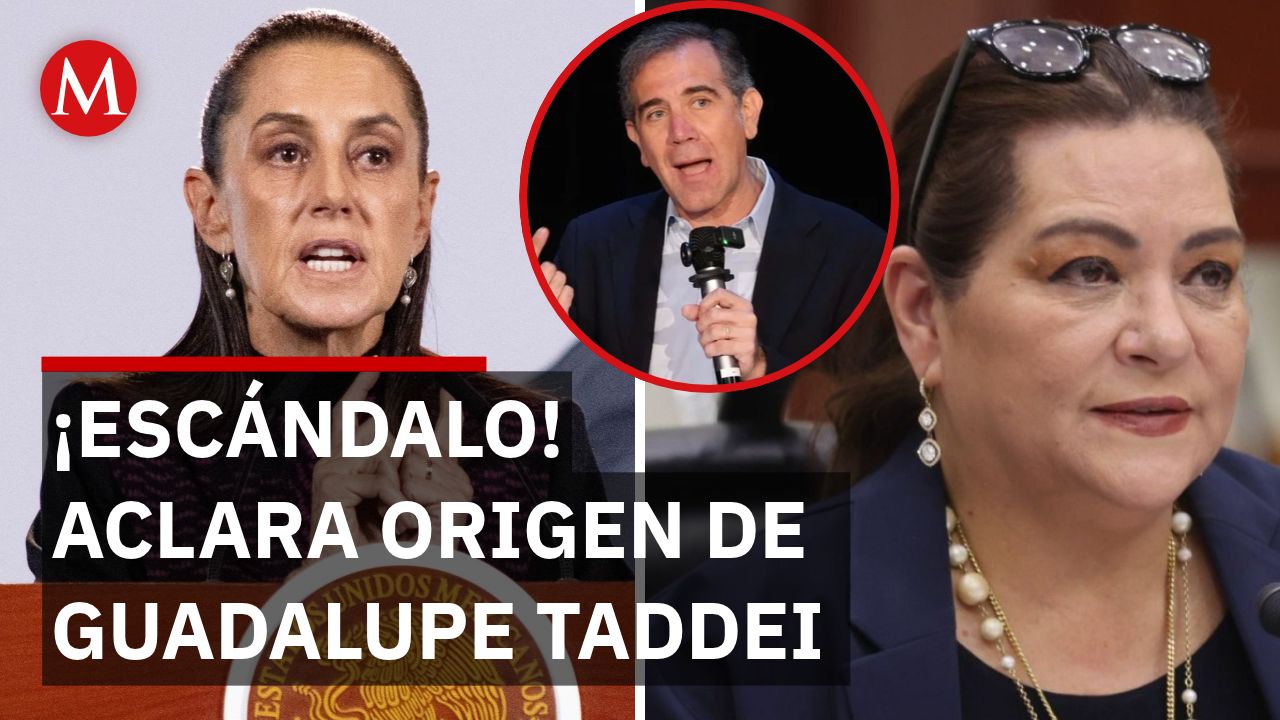 Sheinbaum rechaza que Taddei sea de Morena y la vincula a Lorenzo Córdova