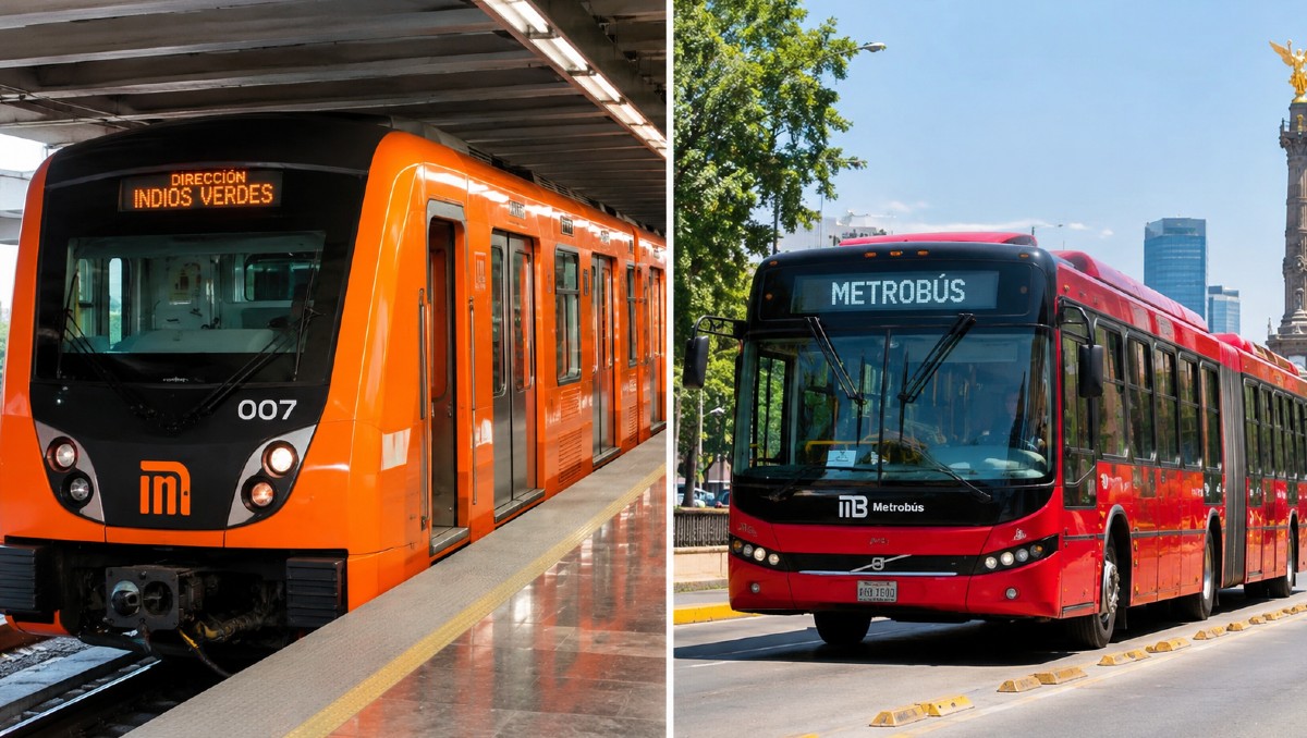 Considera estos cambios en los horarios del transporte público | IA DISCOVER