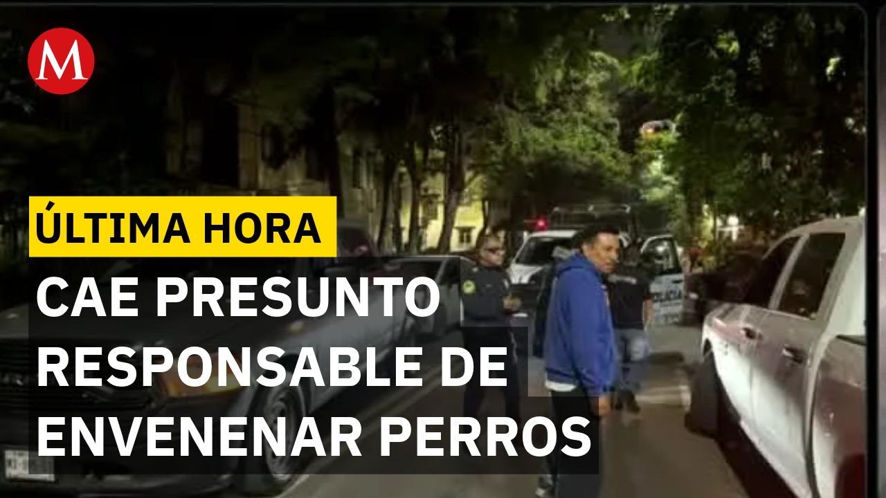 Detienen a presunto responsable de envenenar perros en la Cuauhtémoc