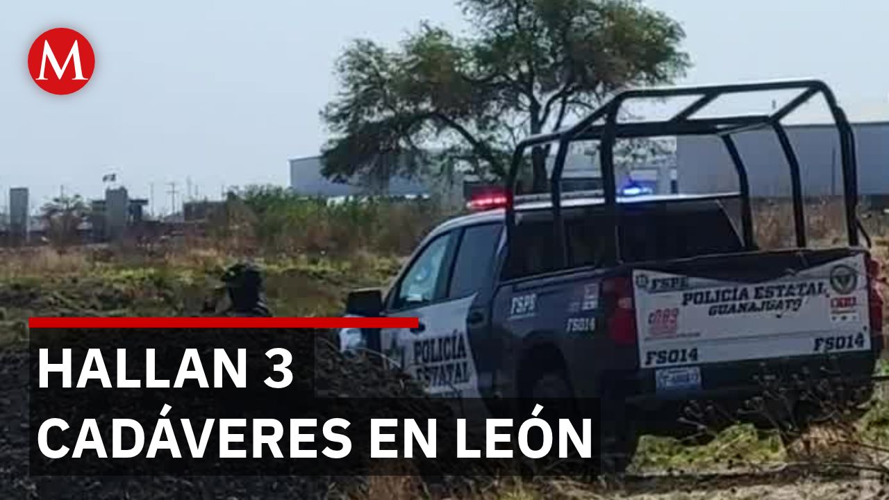 Hallan 3 cuerpos con huellas de violencia en camino de León