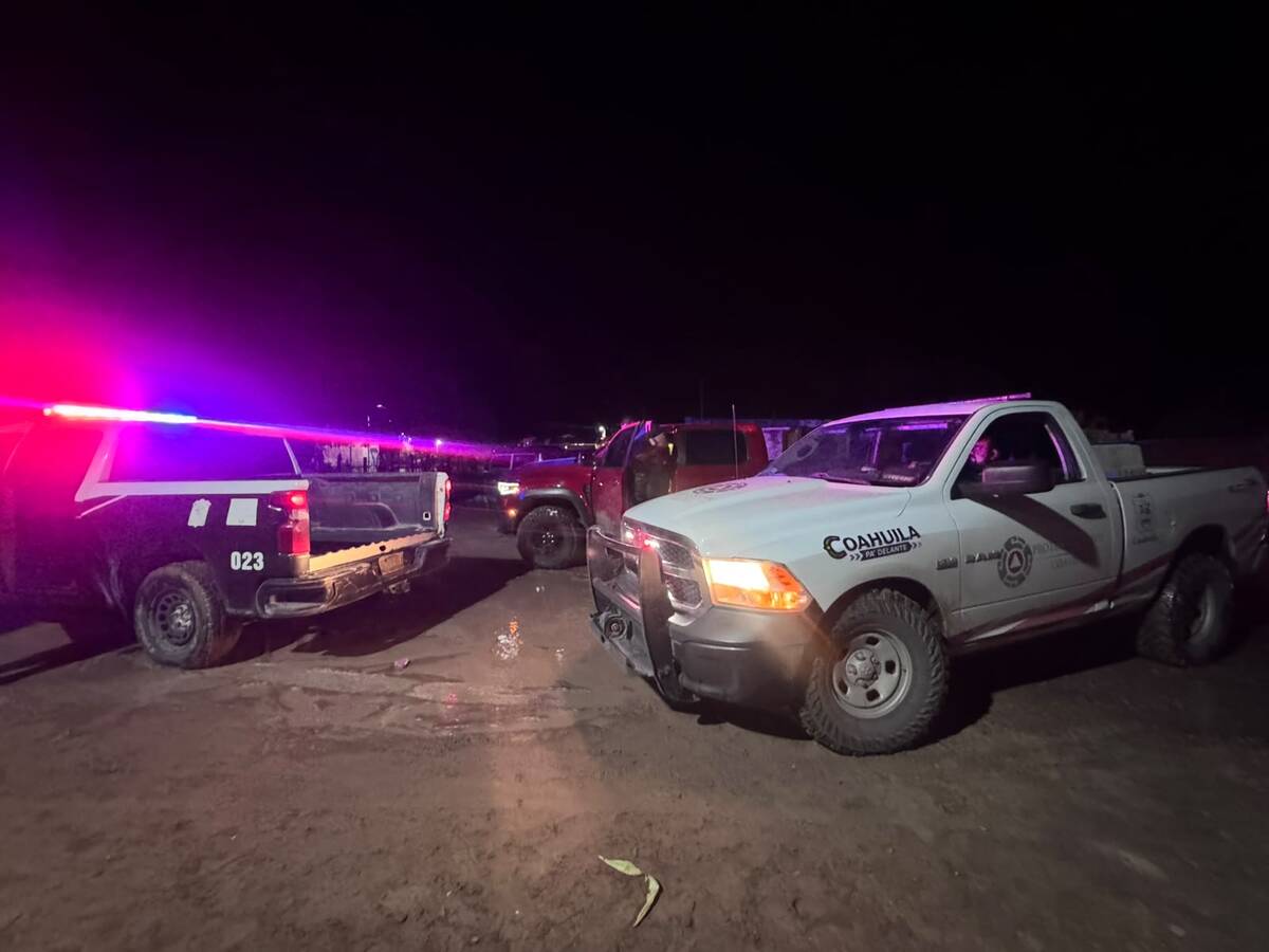 Rescatan a oso que ingresó a un corral de casa en Francisco I. Madero.| Protección Civil.